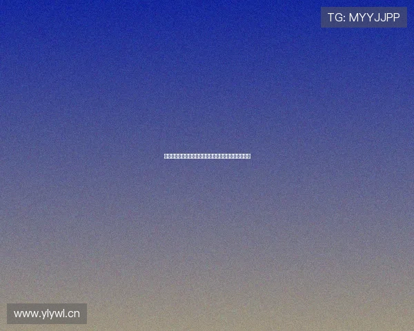 《菊次郎的夏天》:那些治愈了我们一整个夏天的笑与泪